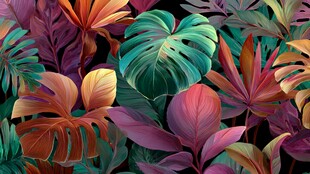 多彩热带植物叶片景观