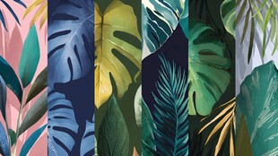 热带植物风多彩壁纸图案