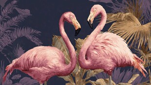 双火烈鸟与热带植物图景