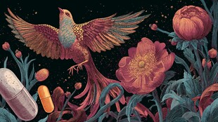 凤凰花卉与药丸奇幻场景