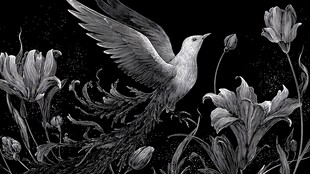 飞鸟伴繁花的梦幻图景