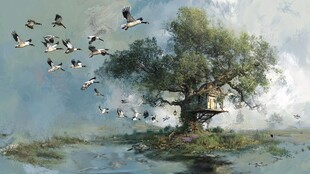 树屋旁飞鸟共舞的美景