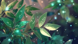 梦幻绿叶间闪烁点点微光