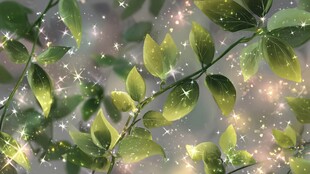 梦幻绿叶闪烁星光背景