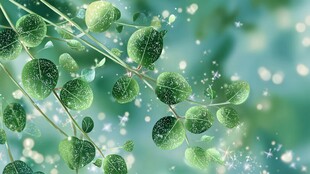 清新绿叶梦幻背景图