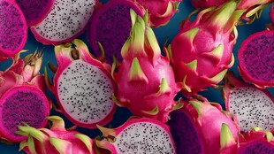 多彩火龙果切片特写