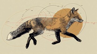 奔跑的狐狸与几何元素组合