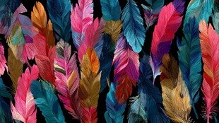 多彩羽毛背景图案