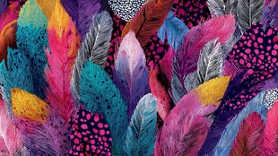 缤纷多彩羽毛图案背景