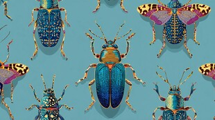 多彩甲虫图案 精致昆虫艺术