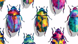 多彩甲虫水彩风无缝图案