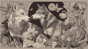 月夜双狼伴花蝶之景