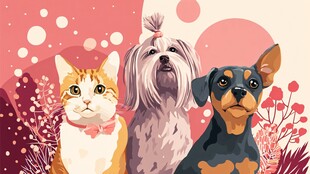 可爱猫狗同框的温馨画面