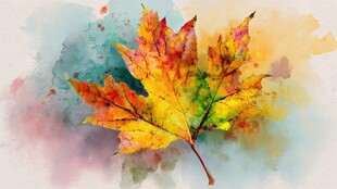 水彩绘就的斑斓秋日枫叶