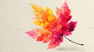 水彩绘就的绚烂枫叶