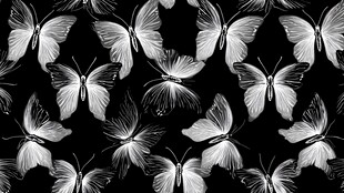 黑白蝴蝶图案 梦幻且唯美