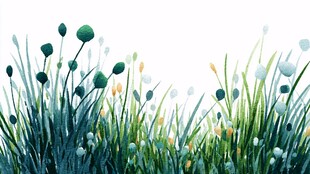 清新水彩风草地花卉景观