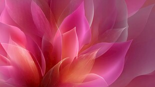 梦幻粉色花朵艺术背景图