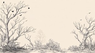 冬日枯树林中的飞鸟景致