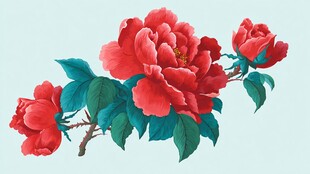 国画牡丹花枝特写