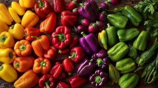 多彩甜椒 新鲜蔬菜大集合