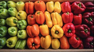 多彩甜椒整齐排列展示