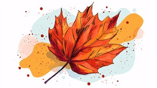 手绘枫叶插画 色彩绚丽