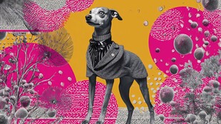 时尚小狗置身奇幻艺术场景