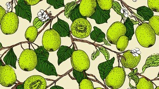 青梨枝叶图案设计素材