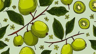 清新猕猴桃绿叶无缝图案