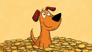 小狗置身金币堆中萌态足