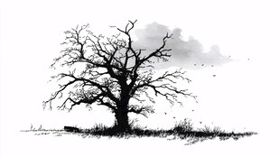 孤独老树 黑白写意风景