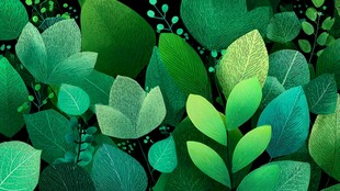 清新绿叶背景图