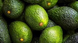 饱满绿牛油果堆叠