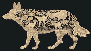 狼形中的自然动物景观