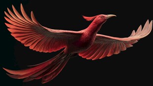 红色神鸟展翅翱翔