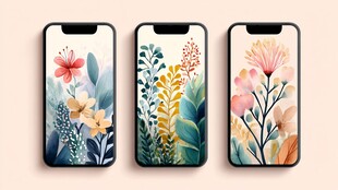 三款花卉主题手机壁纸