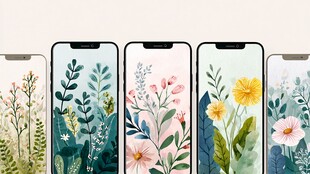 花卉手机壁纸展示