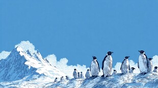 雪山上的企鹅群