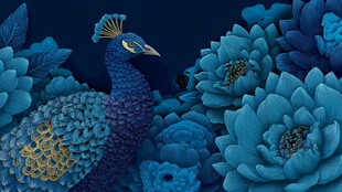 蓝孔雀与繁花的梦幻邂逅