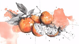 水墨风橘子绘画艺术作品