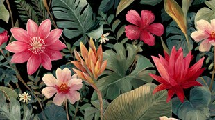 热带花卉植物美丽插画