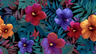 热带花卉缤纷图案