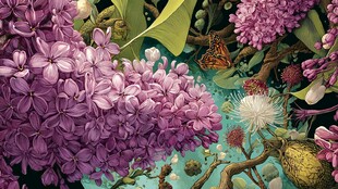 紫丁香旁的蝴蝶与繁花