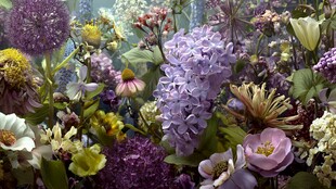 多彩花卉汇聚的梦幻花境