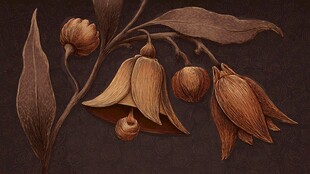 复古风木雕花卉植物特写