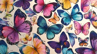 多彩蝴蝶图案 梦幻视觉盛宴