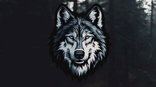 狼头徽标 森林中的神秘力量