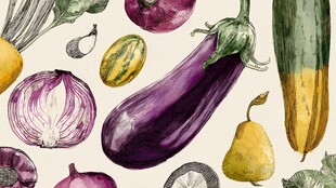 水彩绘多彩蔬菜与水果