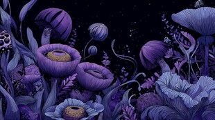 梦幻紫色蘑菇奇幻植物世界